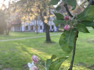 Ostern_25-04-20_Gästehaus (1)